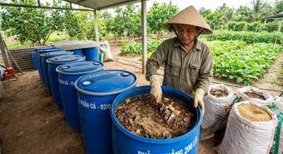 Hướng dẫn kỹ thuật ủ phân từ cá
